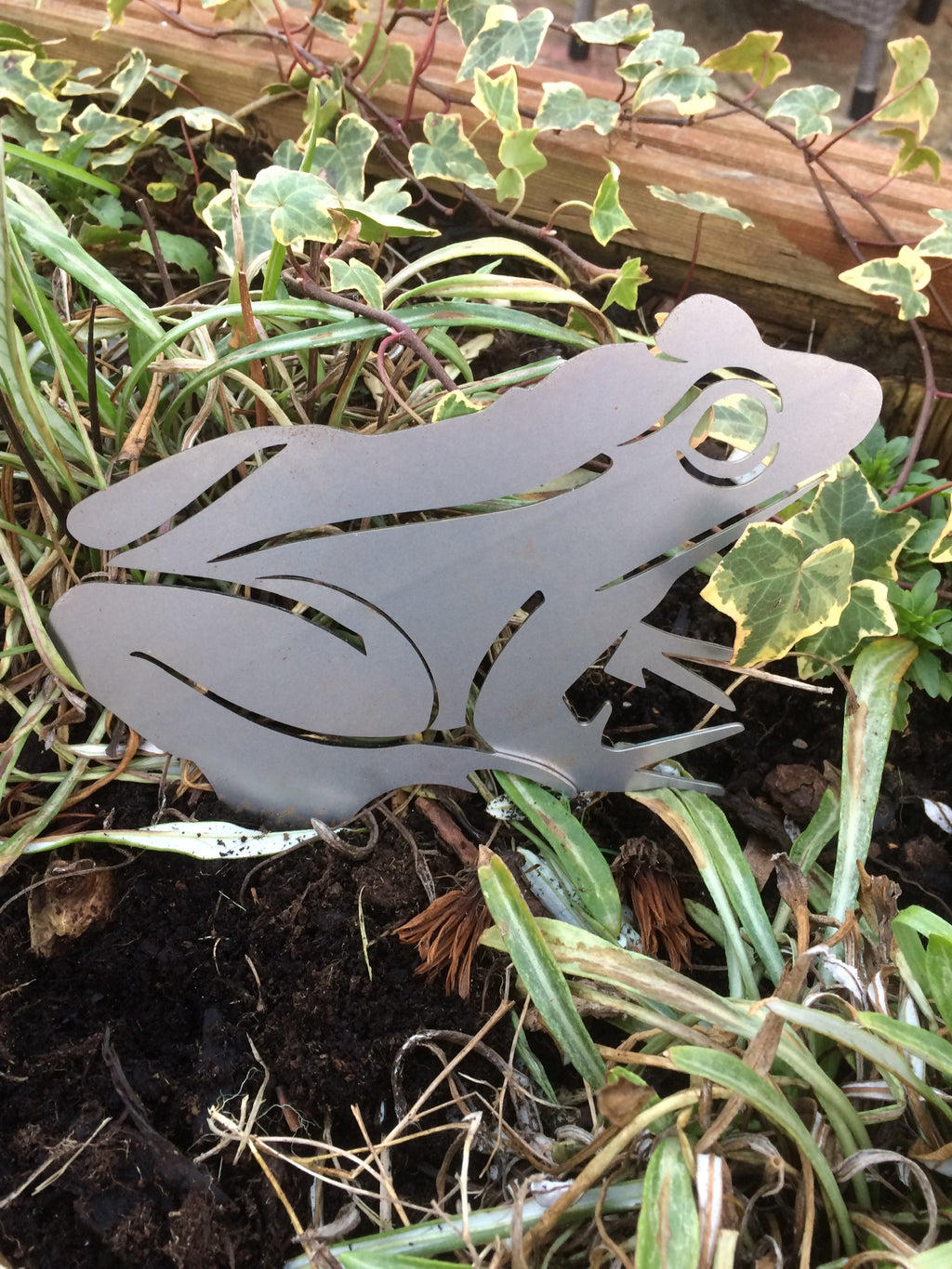 Frog