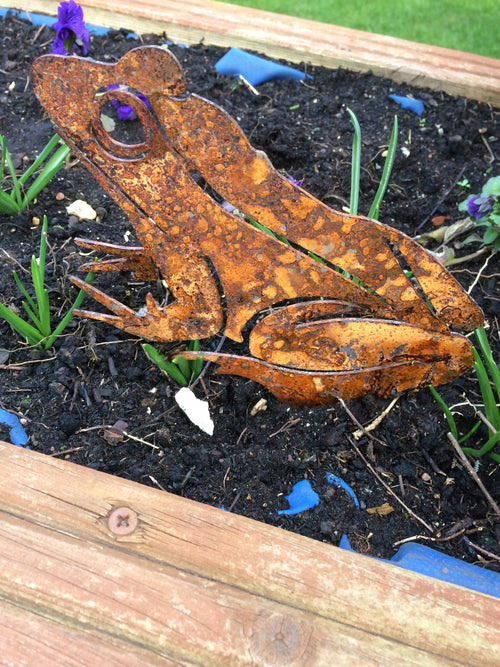 Frog