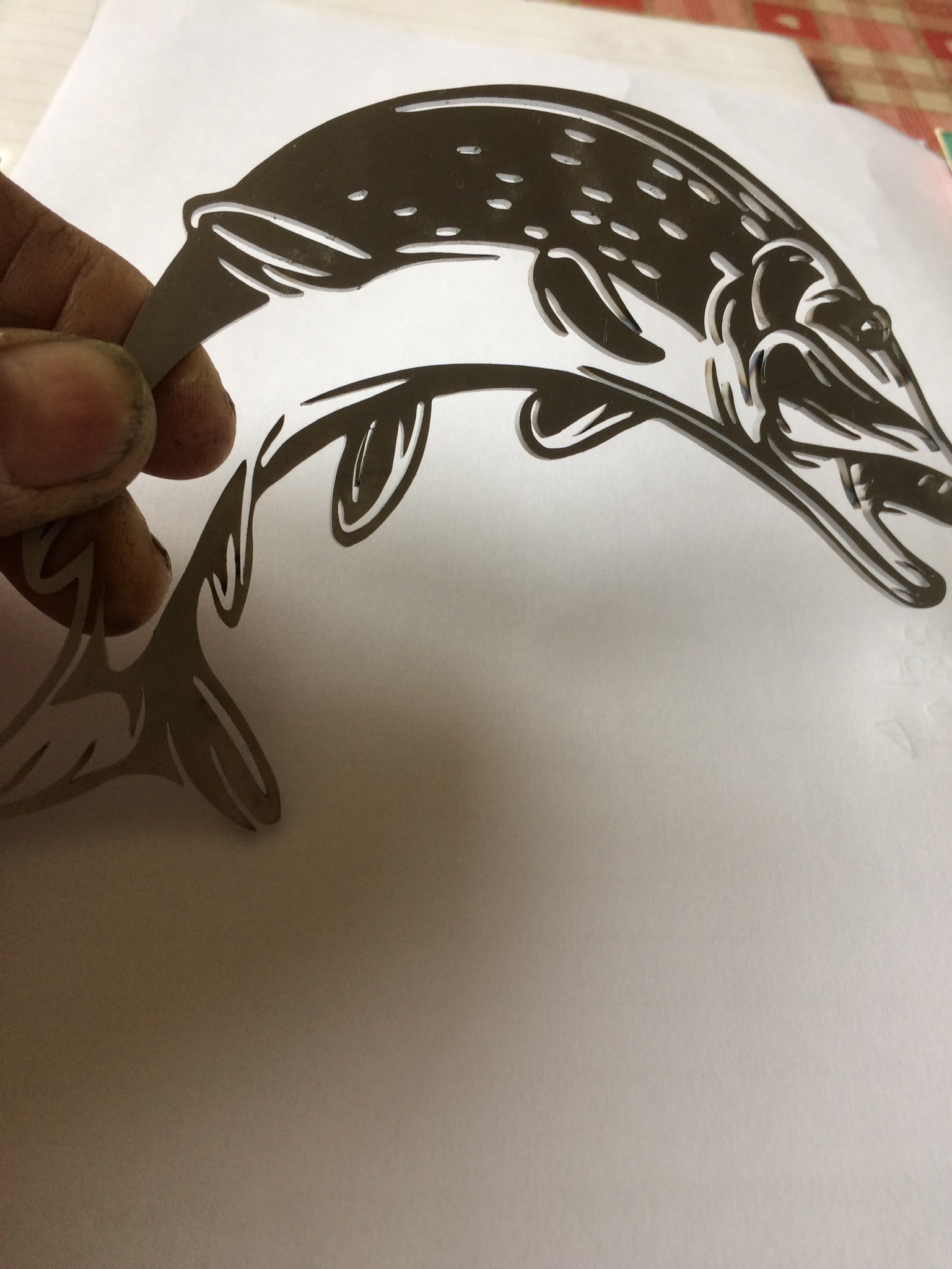 Trout