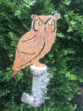 Owl