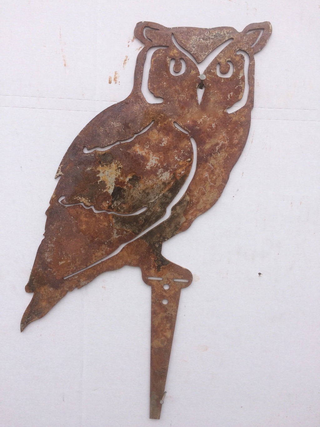 Owl