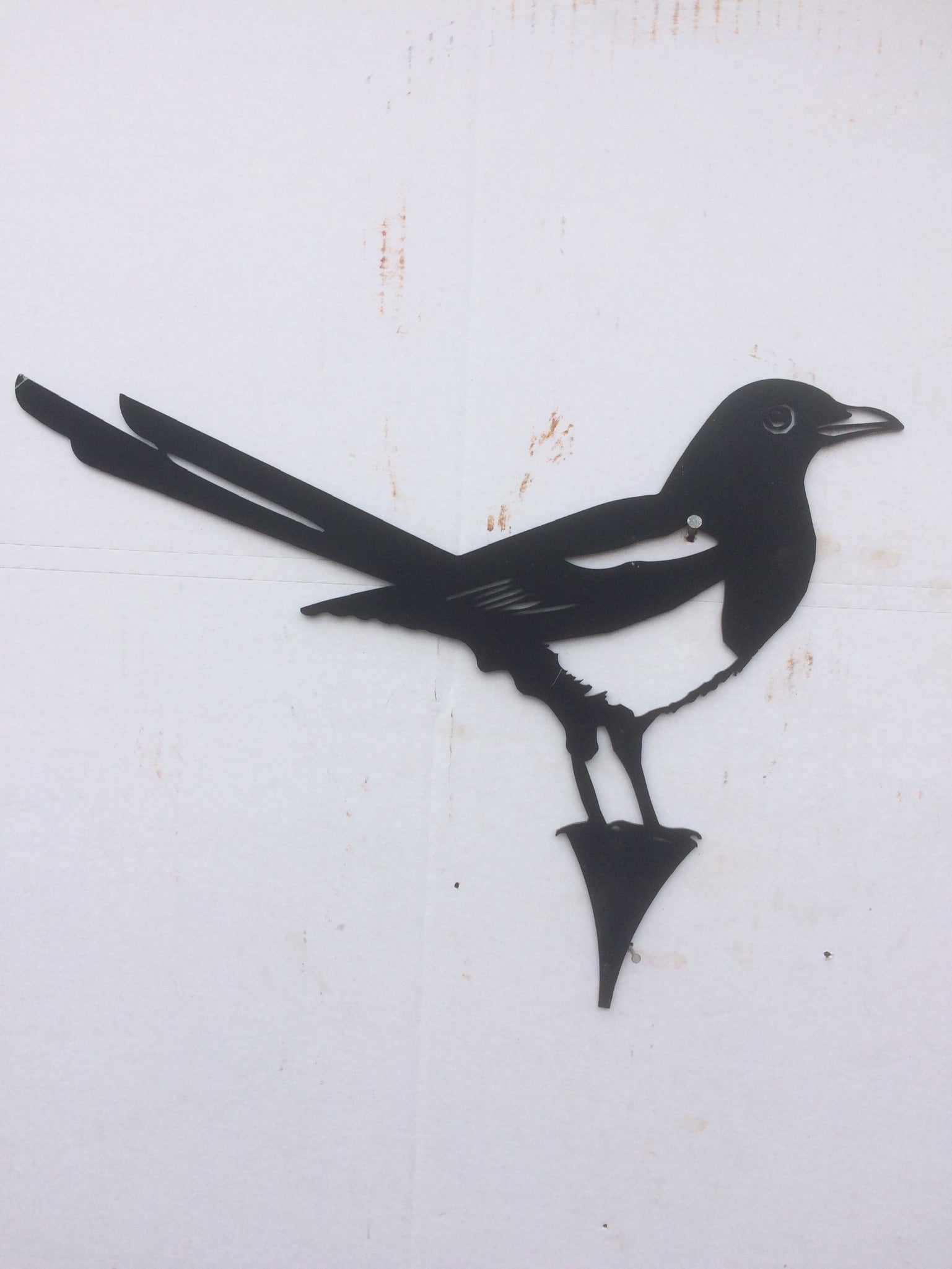 Black Bird