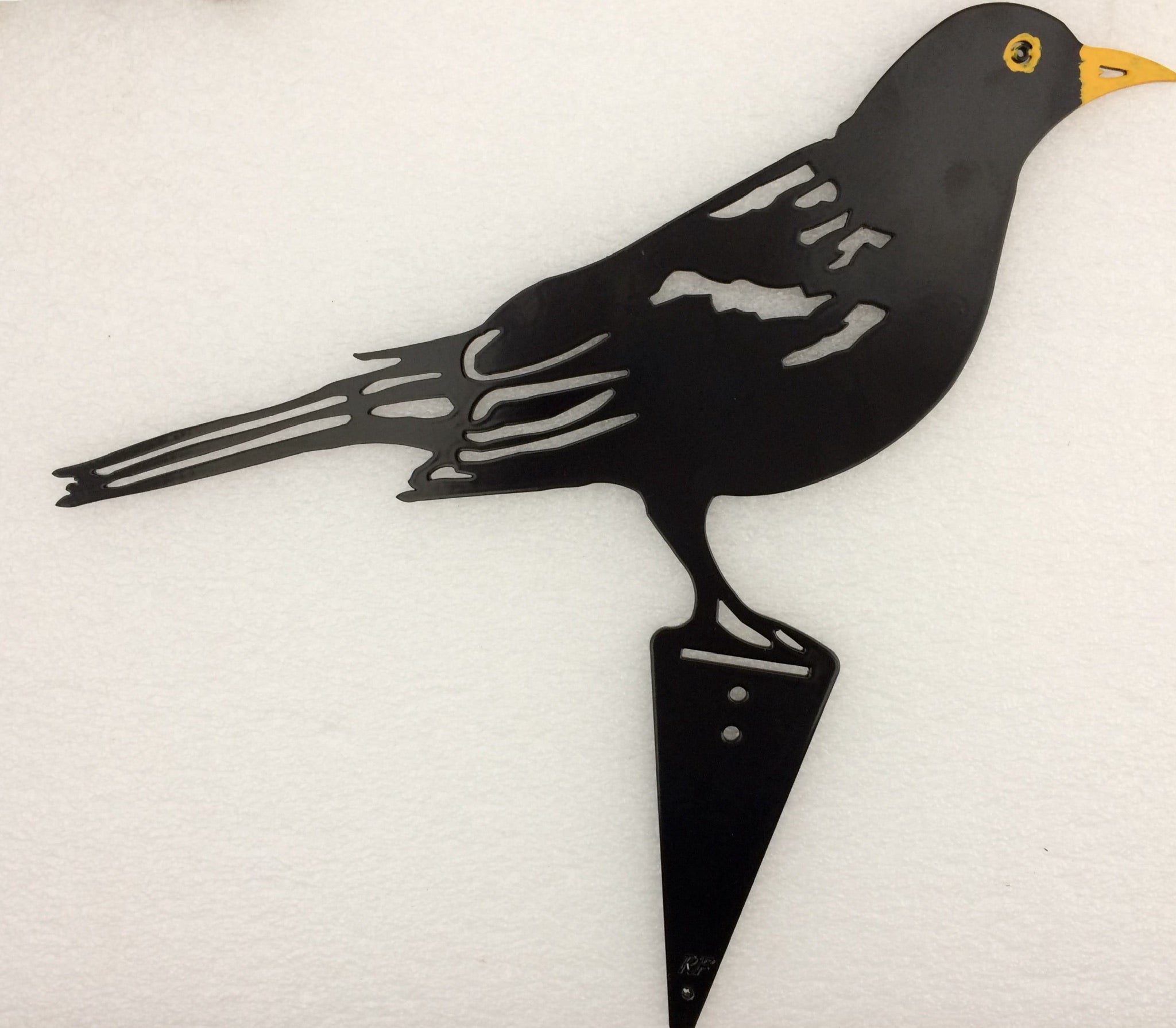 Black Bird