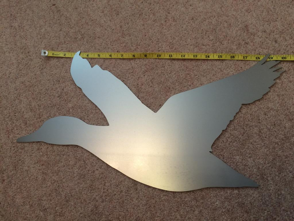 Duck