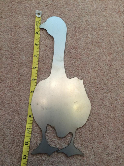 Duck