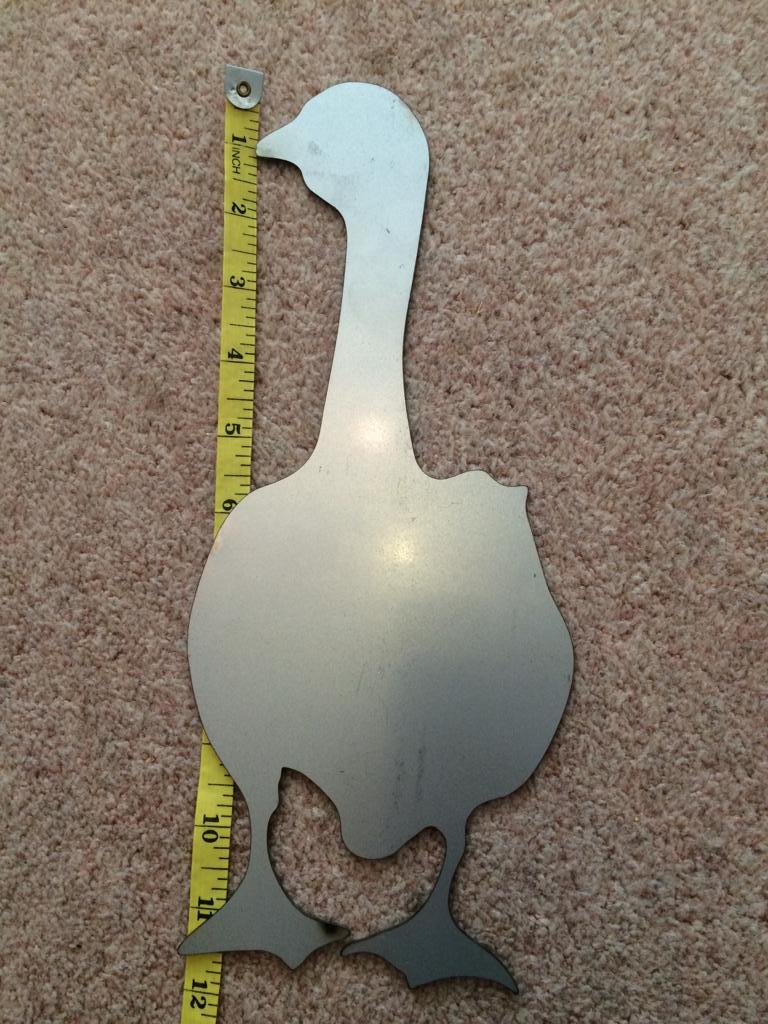 Duck